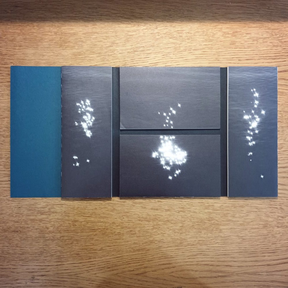 20251021_171942 THINKING LIKE AN ISLAND – Image 4