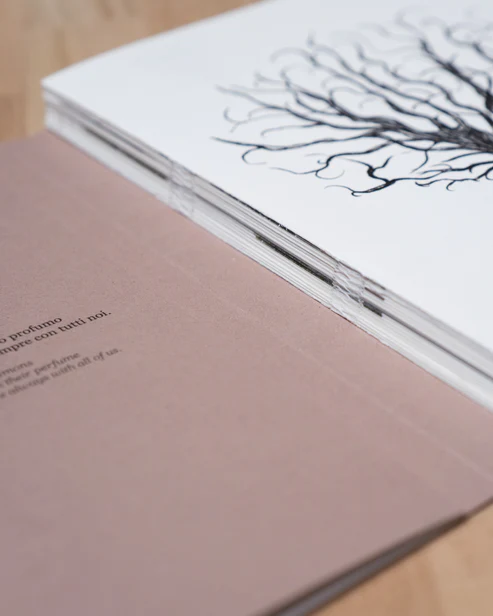 raricalotta_05 Rarica – Image 3